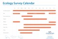 Protected species survey calendar