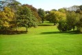 Maximising the Benefits of Urban Green Spaces